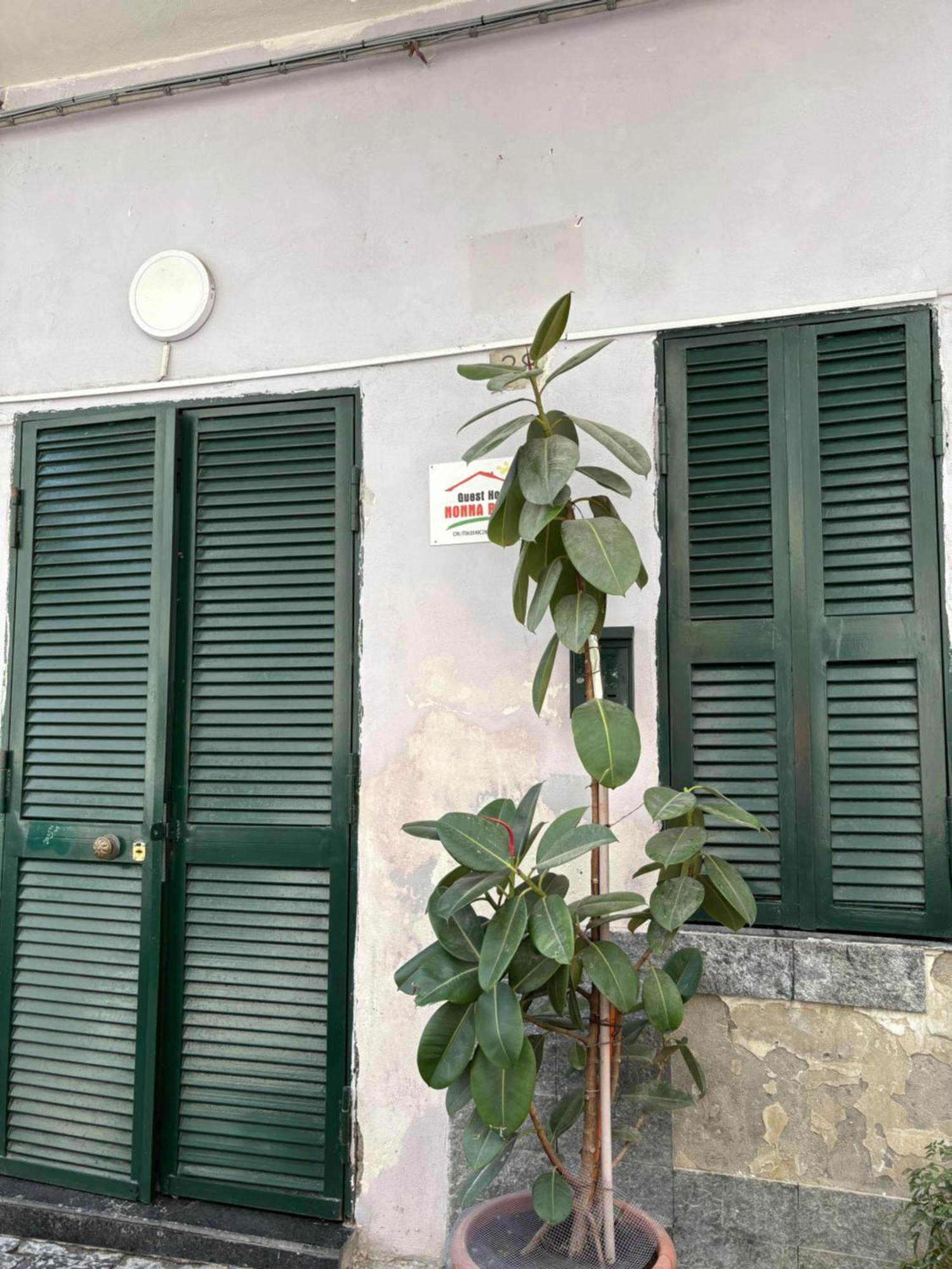 Appartamento “nonna Rossa” *